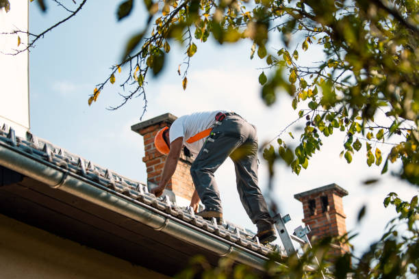 Roof Gutter Cleaning in Marcus, IA