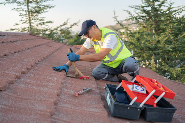 Best Roof Gutter Cleaning  in Marcus, IA